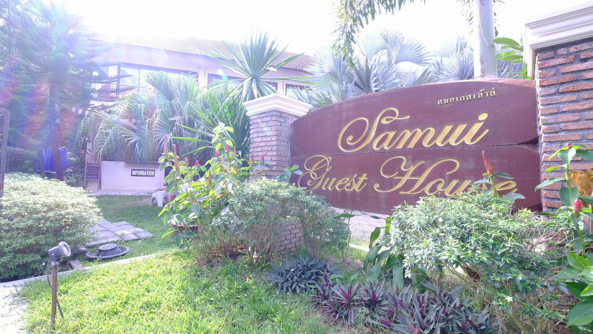 Samui Guest House شاطئ لاماي المظهر الخارجي الصورة